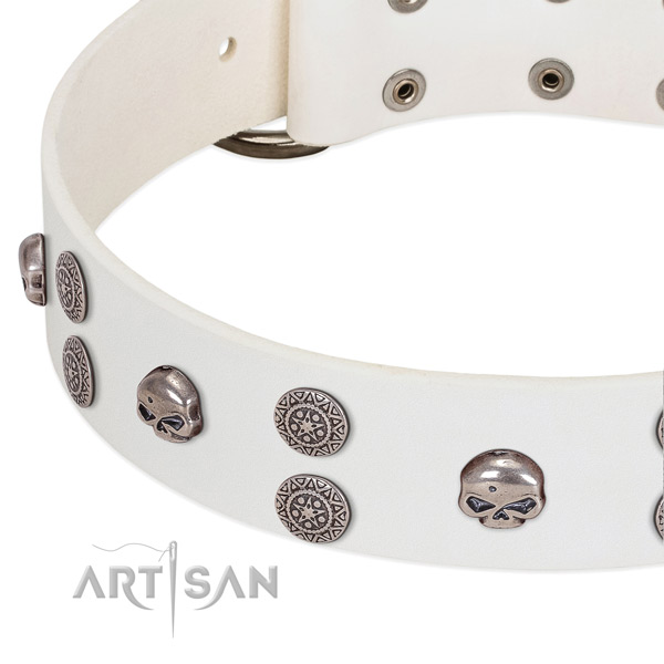 Soft full grain natural leather dog collar with trendy studs