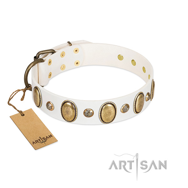 Full grain leather dog collar of high quality material with exceptional adornments