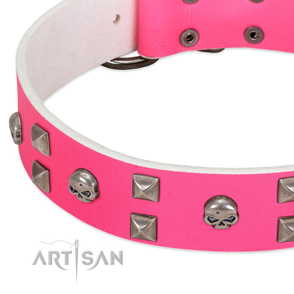 Genuine leather collar with significant studs for your four-legged friend