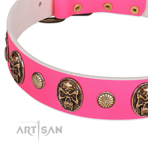 Rust-proof embellishments on leather dog collar for your dog