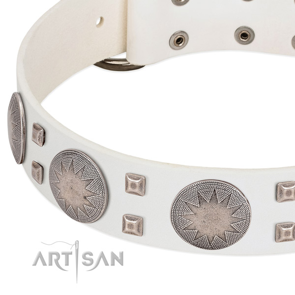 Corrosion resistant fittings on full grain genuine leather collar for fancy walking your pet