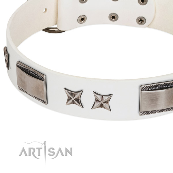 Reliable full grain natural leather dog collar with durable hardware