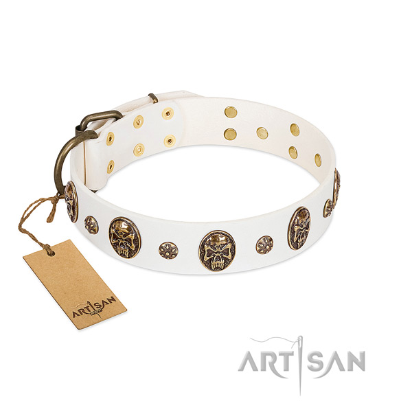 Top quality full grain leather collar for your four-legged friend