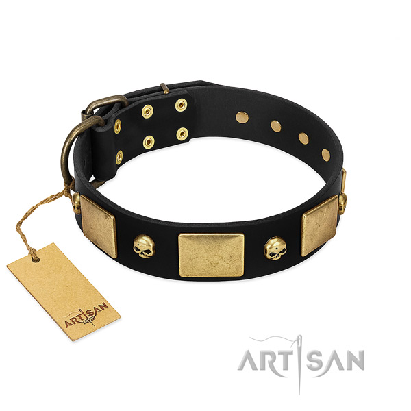 Corrosion proof studs on dog collar for walking