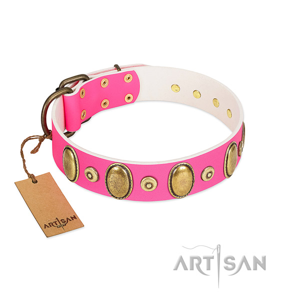 Flexible natural leather collar with rust-proof studs for your pet
