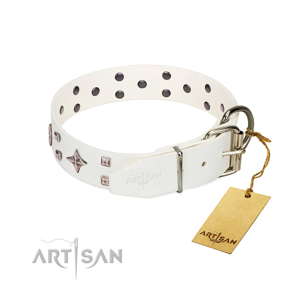 Stunning full grain genuine leather collar for your pet stylish walks