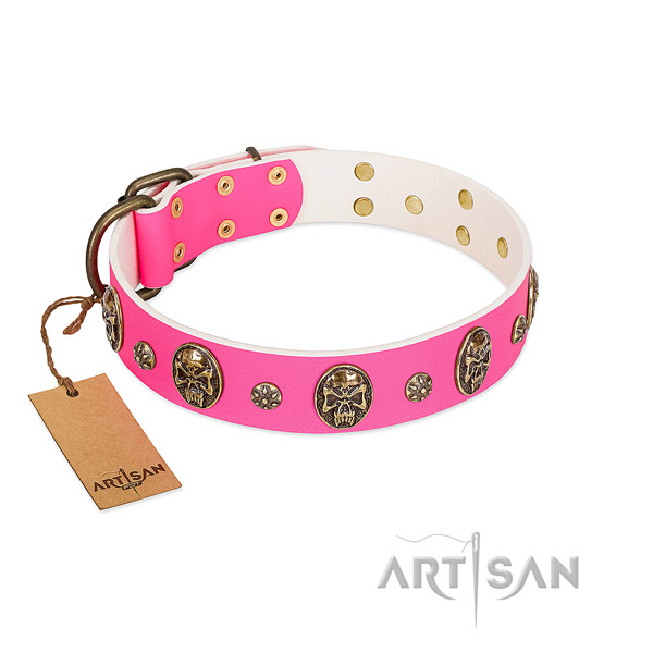 Exquisite full grain leather dog collar for daily use