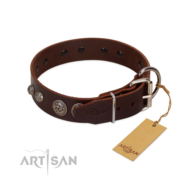 Reliable buckle on leather dog collar for your canine