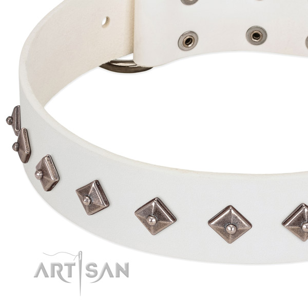 Remarkable collar of full grain natural leather for your four-legged friend