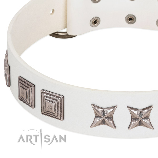 Walking genuine leather dog collar with incredible adornments