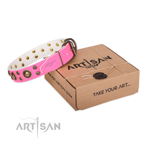 Comfortable wearing dog collar of reliable leather with adornments