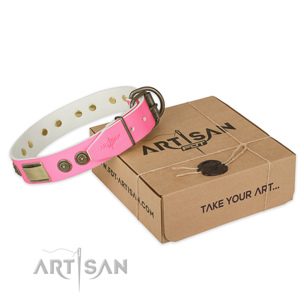 Strong adornments on dog collar for easy wearing