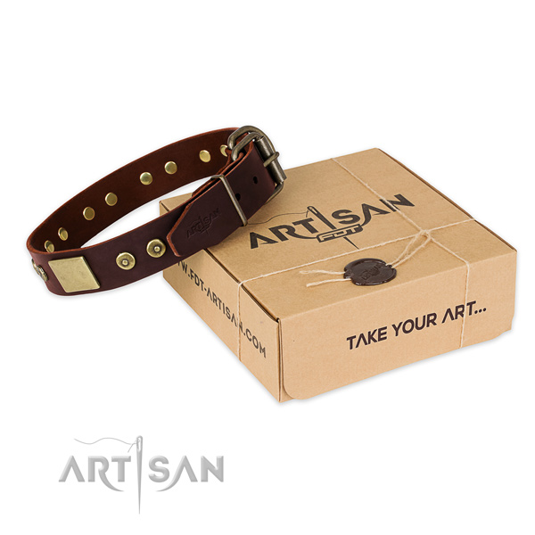 Strong adornments on dog collar for easy wearing