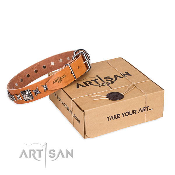 Everyday walking dog collar of reliable leather with embellishments