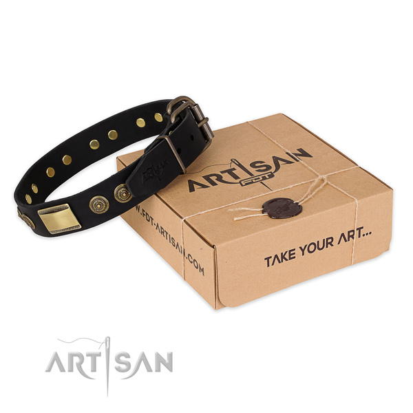 Rust resistant hardware on full grain natural leather dog collar for everyday use
