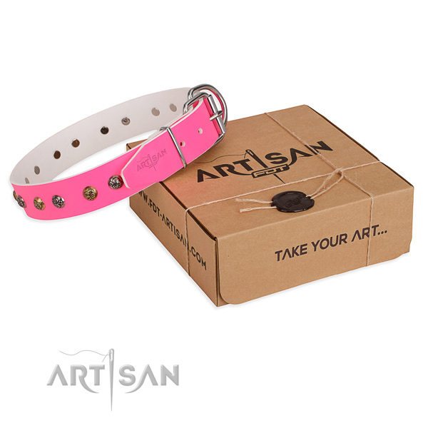 Comfy wearing dog collar with Impressive strong embellishments