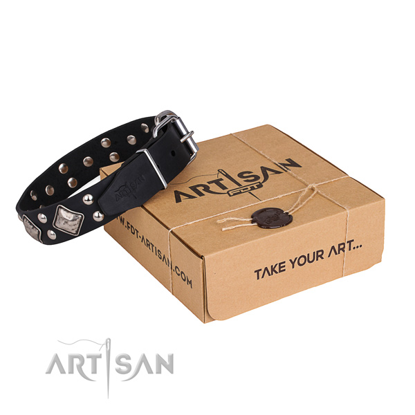 Comfy wearing dog collar with Impressive strong embellishments