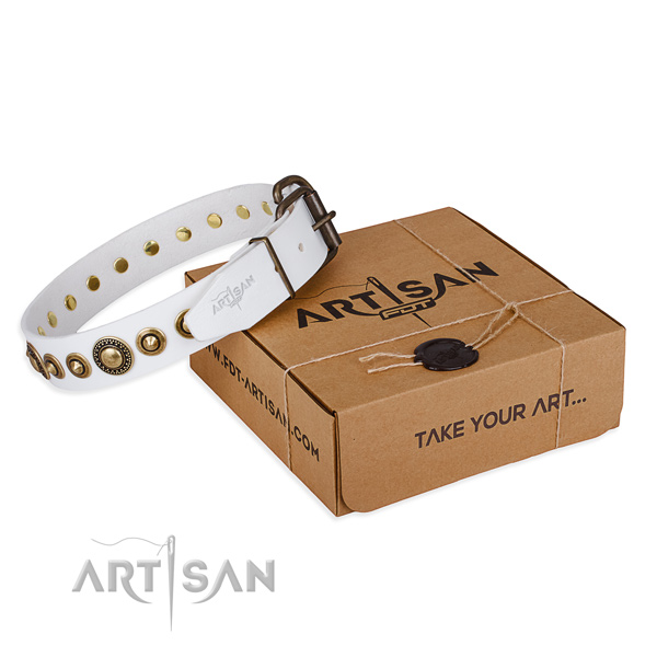 Gentle to touch full grain genuine leather dog collar handmade for easy wearing