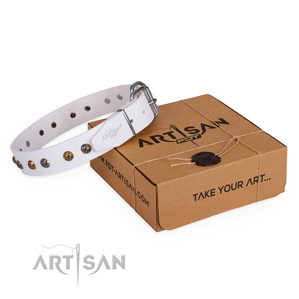 Everyday use dog collar with Stylish design strong embellishments