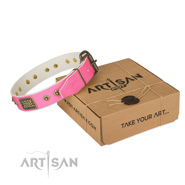 Rust resistant buckle on dog collar for everyday use