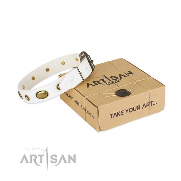 Unusual leather collar for your impressive doggie