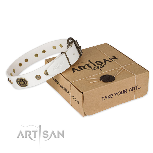 Corrosion resistant D-ring on leather dog collar for walking