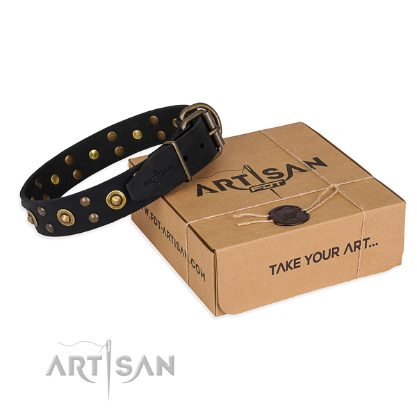 Strong fittings on full grain natural leather collar for your lovely pet