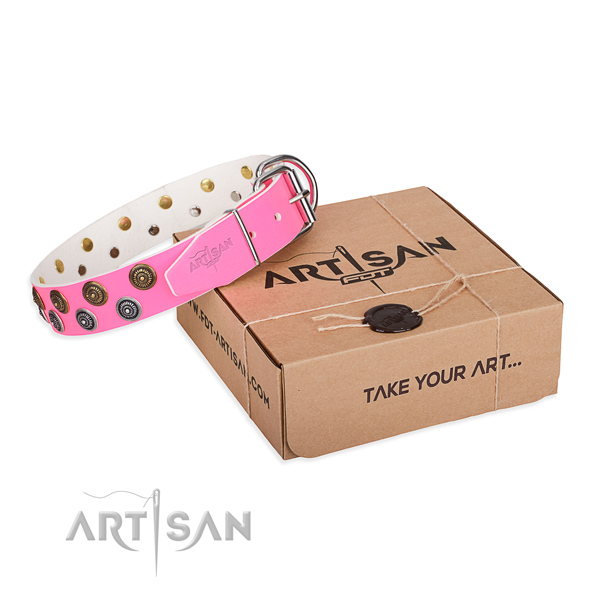 Daily walking dog collar of strong natural leather with embellishments