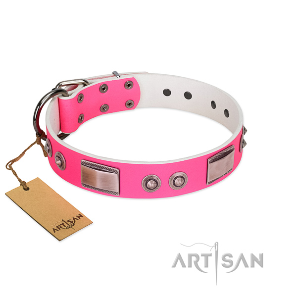 Awesome dog collar of full grain leather with embellishments