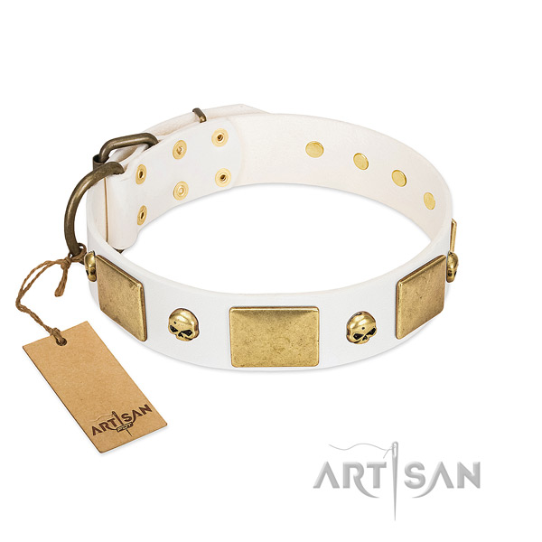 Top notch leather collar crafted for your pet