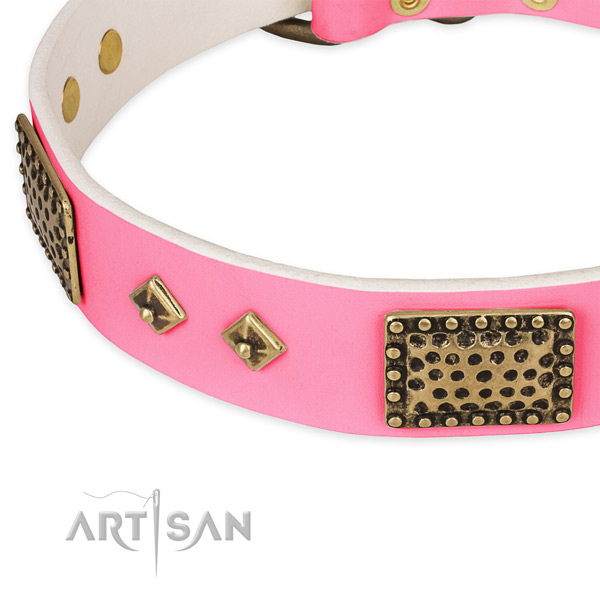 Full grain leather dog collar with studs for everyday walking