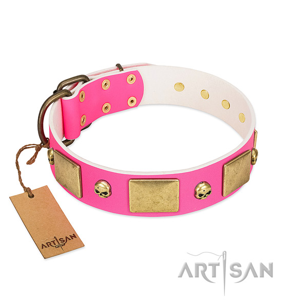 Soft full grain leather collar with rust resistant decorations for your canine