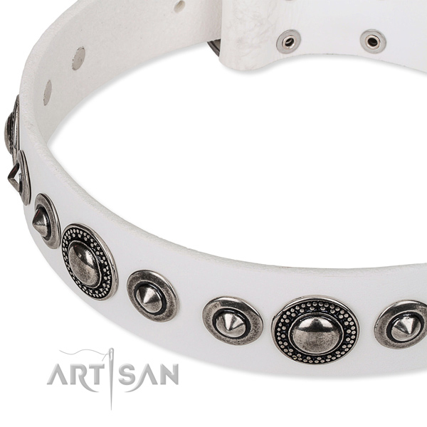 Comfy wearing adorned dog collar of high quality full grain natural leather