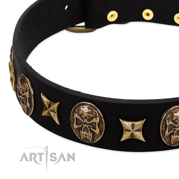 Corrosion proof studs on genuine leather dog collar for your pet