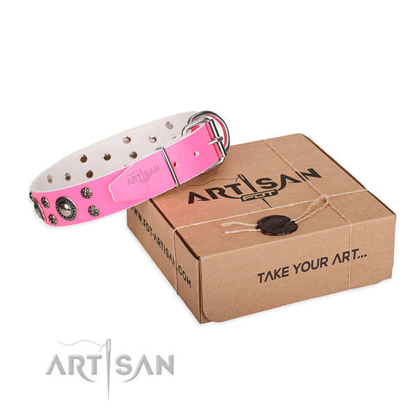 Basic training dog collar of high quality full grain natural leather with embellishments