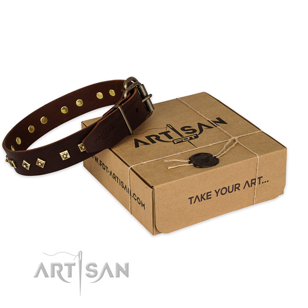 Corrosion proof hardware on full grain leather dog collar for daily walking