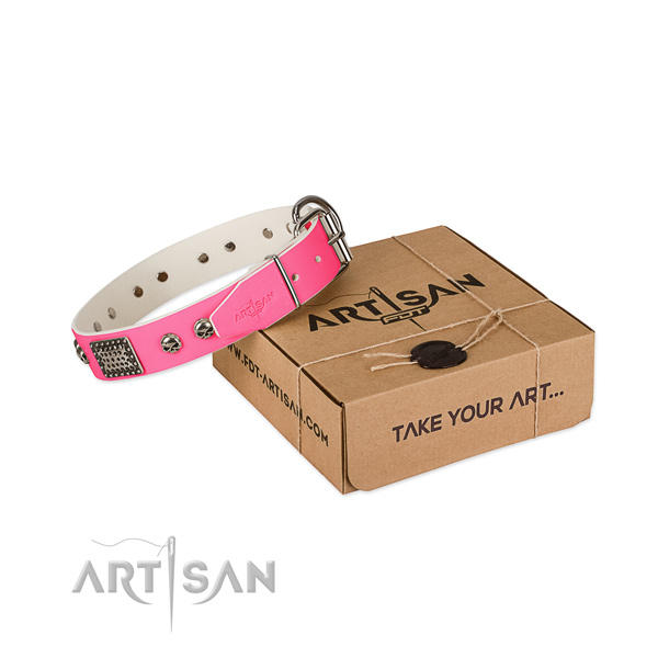 Rust resistant fittings on dog collar for handy use