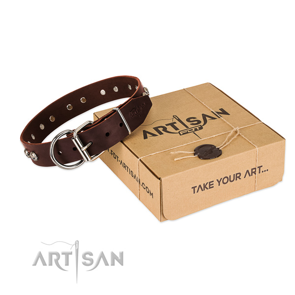 Corrosion proof hardware on dog collar for daily use