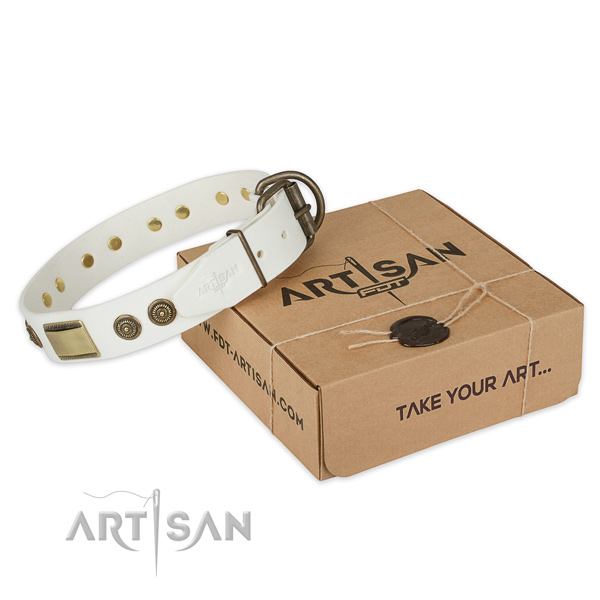 Strong buckle on full grain natural leather dog collar for easy wearing