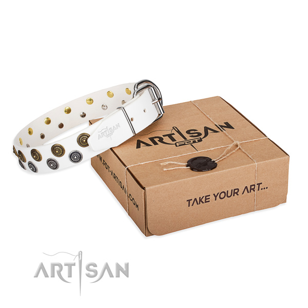 Everyday use dog collar of top notch full grain natural leather with adornments