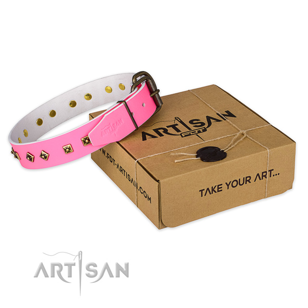 Strong fittings on leather dog collar for basic training