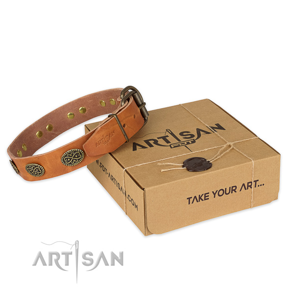 Reliable buckle on natural genuine leather collar for your handsome pet