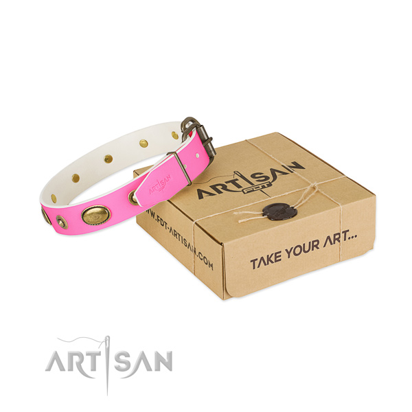 Impressive genuine leather collar for your impressive four-legged friend