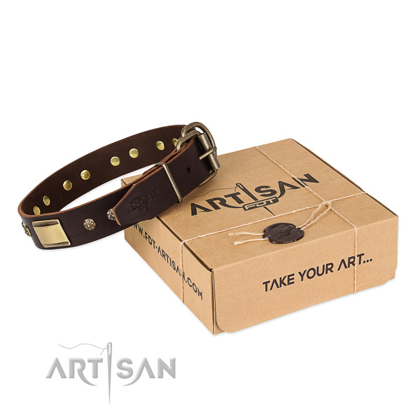 Perfect fit full grain genuine leather collar for your beautiful doggie