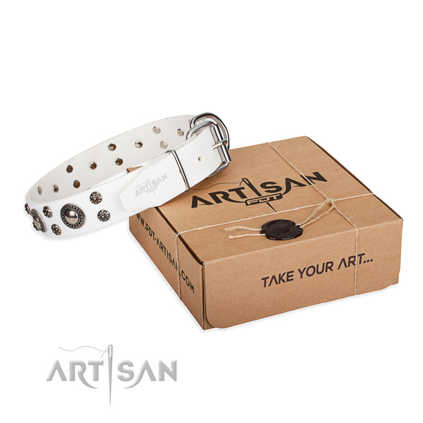 Walking dog collar of top notch full grain leather with studs