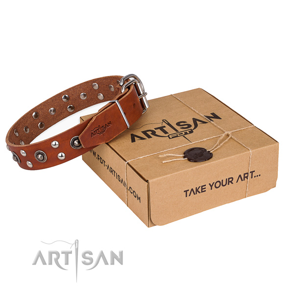 Corrosion resistant hardware on genuine leather collar for your attractive four-legged friend