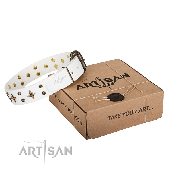 Daily walking dog collar of quality genuine leather with embellishments