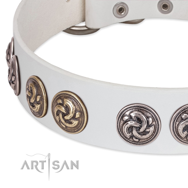 Significant full grain leather dog collar for daily use