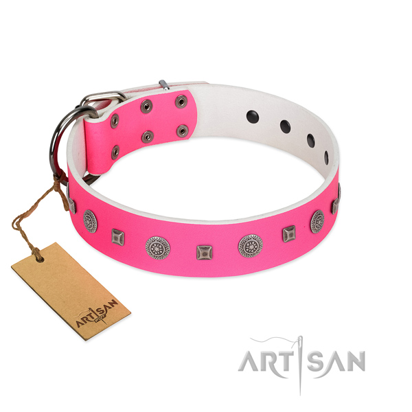 Everyday walking best quality genuine leather dog collar with adornments