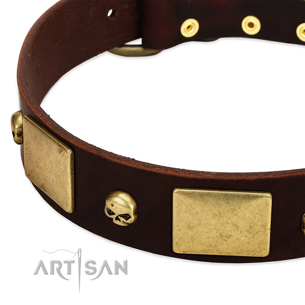 Best quality full grain genuine leather collar with rust-proof adornments for your dog